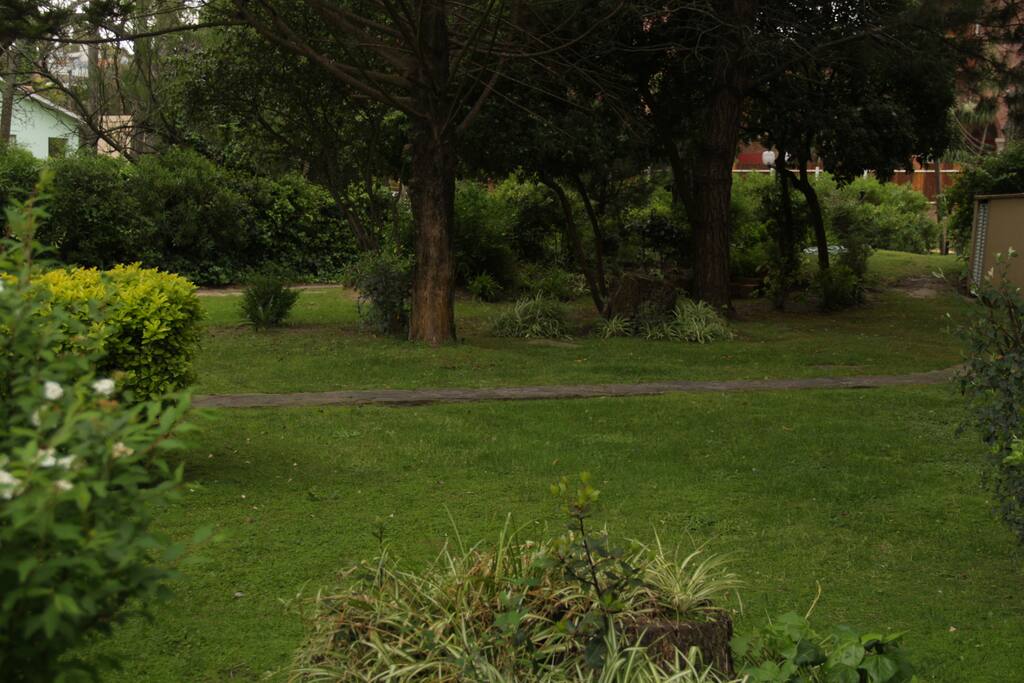 Jardín trasero