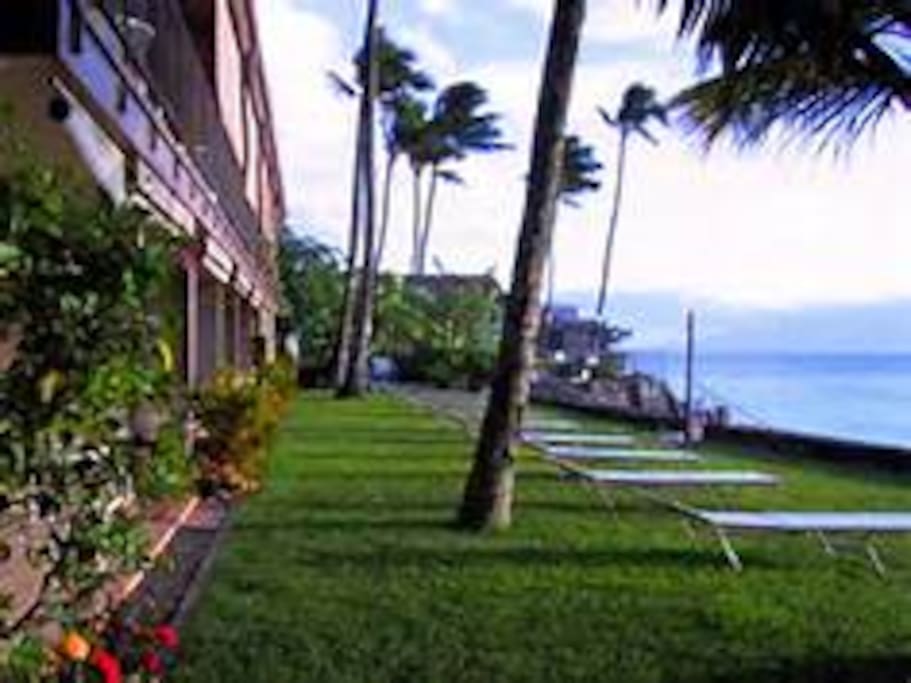 Beautifully landscaped lawn with lawn chairs waiting for you!
