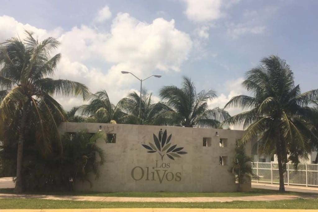 Subdivision Entrance View