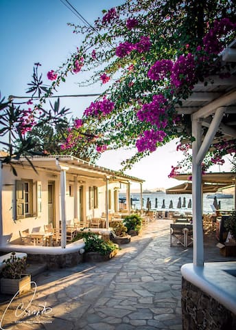 Dimitris, Marsoula, George & Nicola managed Airbnb listing 3