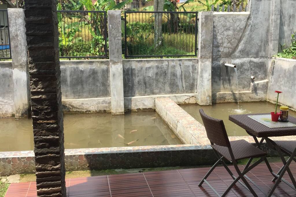 Outdoor Dining Area with Fishing Pond View