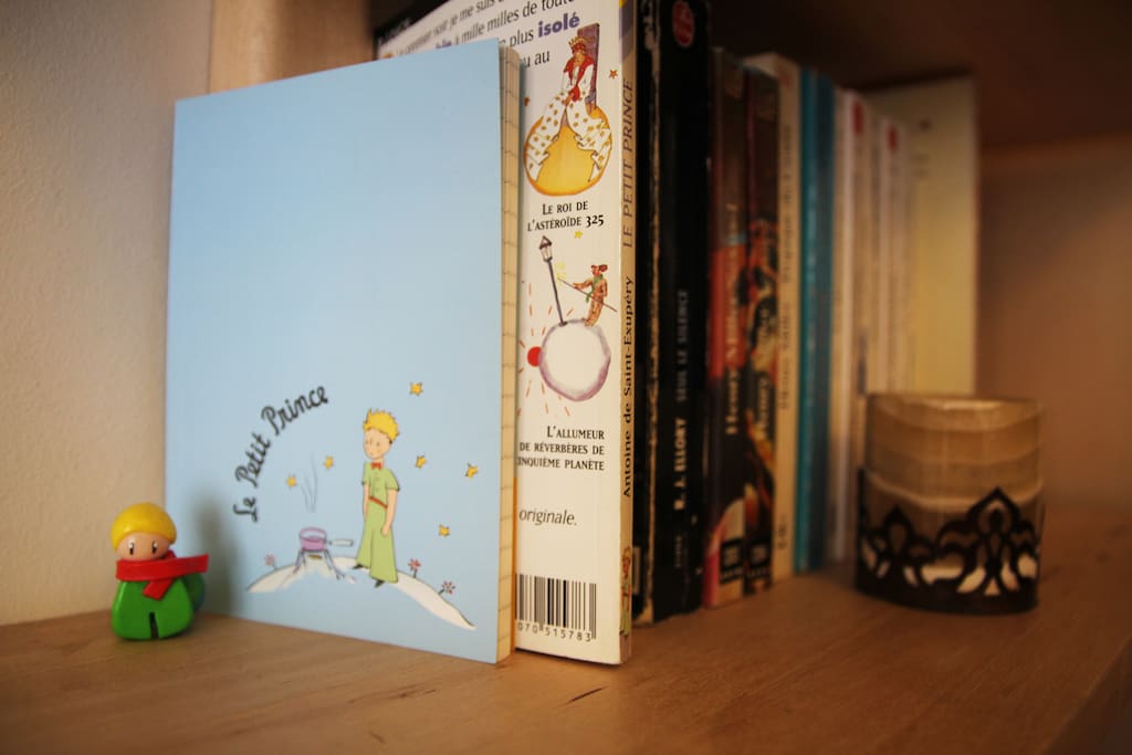 Petite bibliothèque / Little library