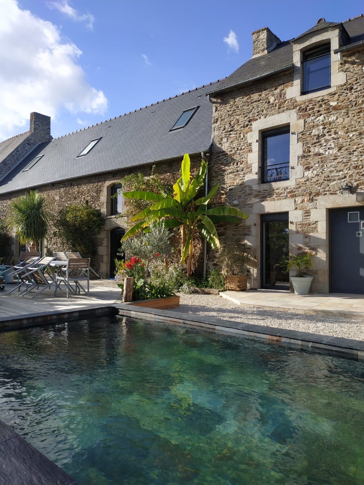 A serene outdoor space features a swimming pool surrounded by natural stone. Lush greenery, including a banana plant, adds vitality. Comfortable lounge chairs are positioned nearby, while the rustic stone façade of the house complements the tranquil atmosphere.