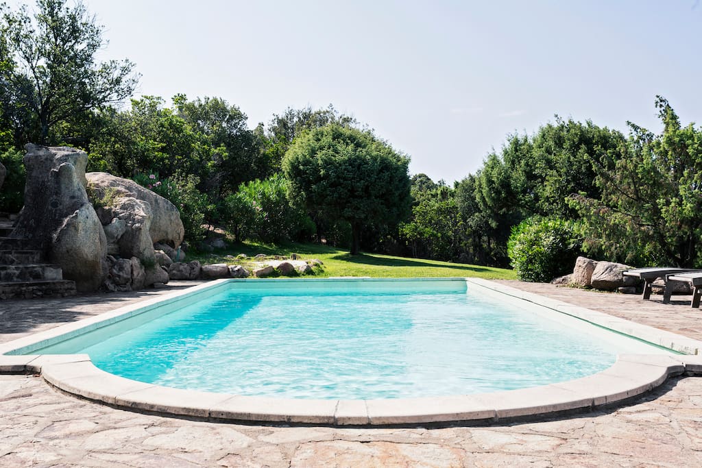 Guess somebody will jump in this swimming pool soon :)