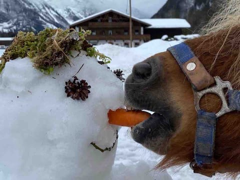 Popular Airbnb listing: Mountains - hiking - swimming - cross-country skiing in Tyrol in Mittenwald