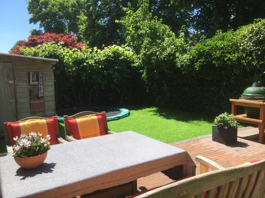 Backgarden facing South.
