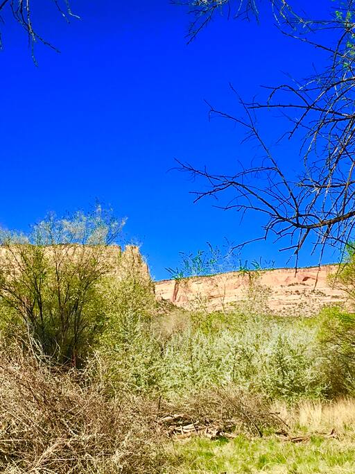 Views of the Colorado national Monument from the back of the house.