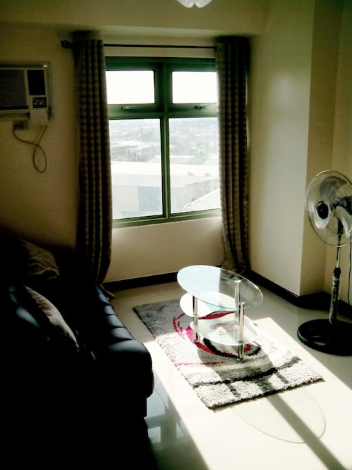 Living Room area with sofabed