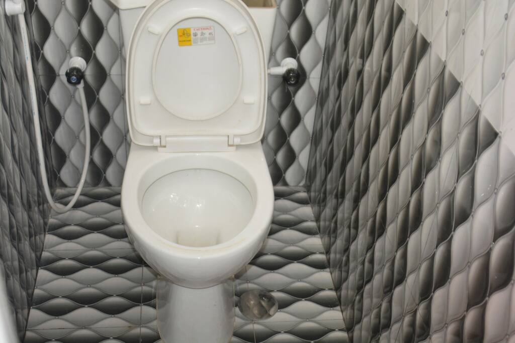 toilet1
