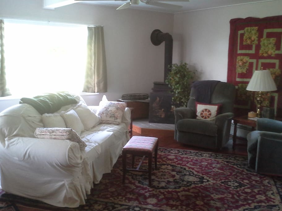 Living room area with woodstove