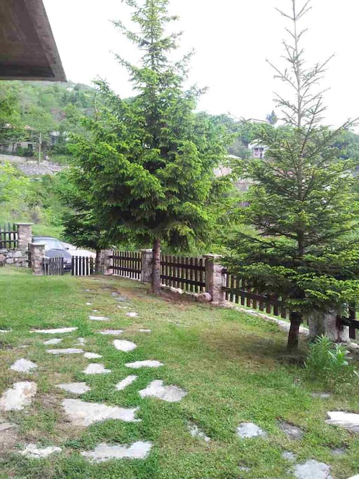Yard