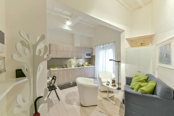 Minerva – A gem next to Arno river gallery image 4