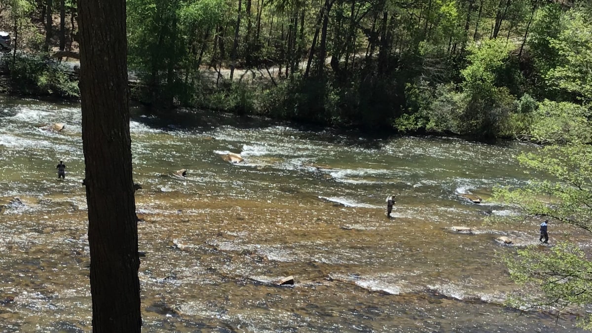 Two individuals are seen fishing in the clear waters of the Toccoa River, surrounded by lush greenery. The gentle ripples of the flowing water create a serene atmosphere, with smooth rocks partially visible beneath the surface.