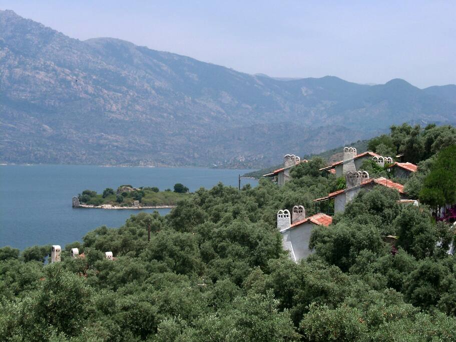 There are five houses with four rooms per house, three houses with two rooms per house and one house with six bedrooms.