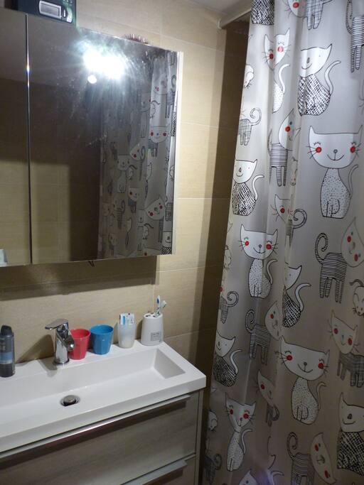 shared bathroom