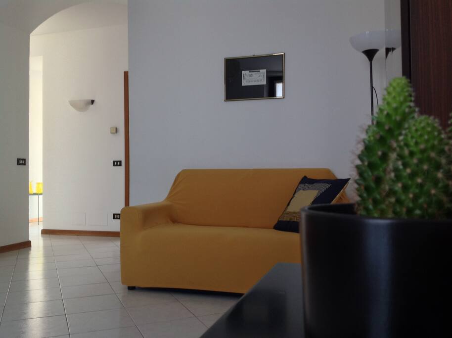 zona living