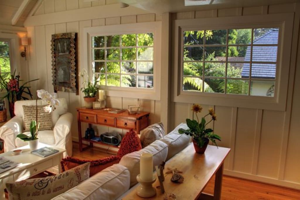 Lots of windows in the living room provide lots of natural light.