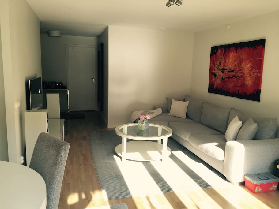 Vardagsrum med en divansoffa 50 tum tv och steroanläggning