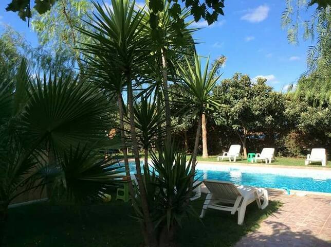 Tenuta “Rosa dei venti” gallery image 4