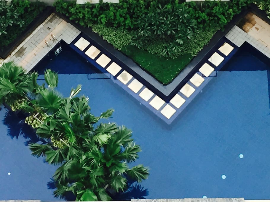 Condo's swimming pool