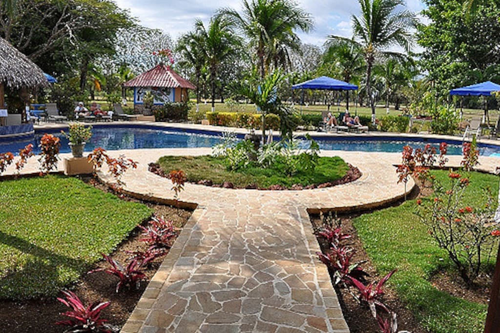 Pool View from Reception
