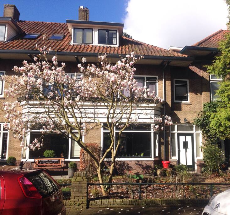 Front of the house
