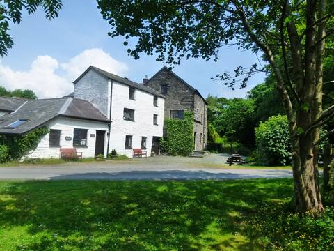 Watermill, Granary & Millpond Caravan, Machynlleth