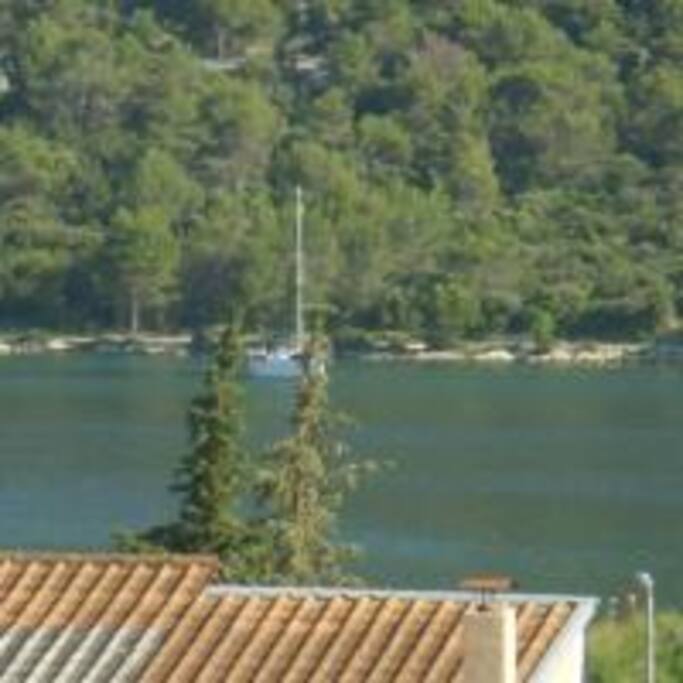 pogled