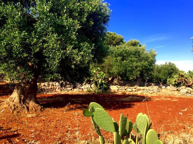 VILLA TITTI gallery image 2