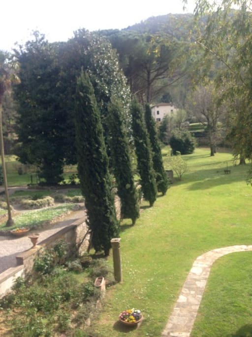 Il giardino
Garden