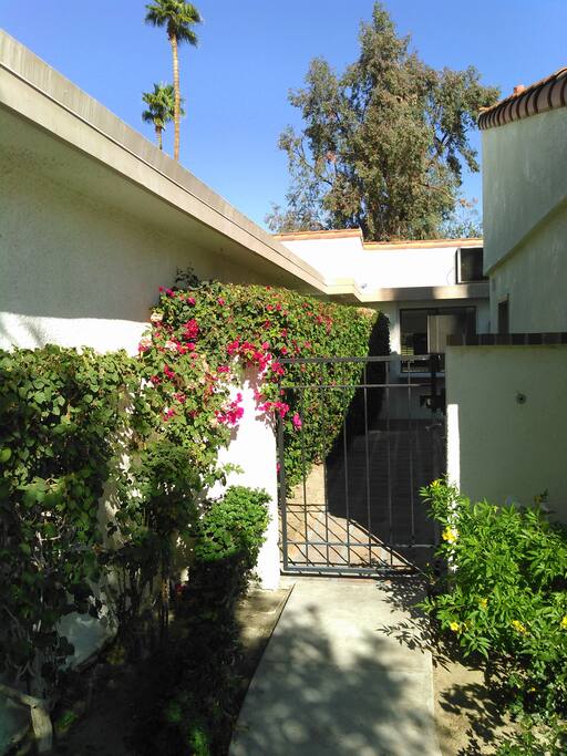 Front walkway with beautiful bougainvilleas.