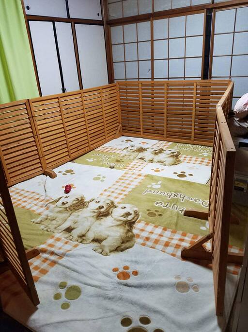 ペットを飼っています。犬好きの方もそうでない方も人懐っこい穏やか性格の愛犬です。ペット民泊も可能です。また東海地区初めてのペットセラピー型民泊施設となります。大型犬を飼う前に実際に当施設で宿泊体験されることで、大型犬の魅力や苦労話など夜まで熱く語り合うこともできます。