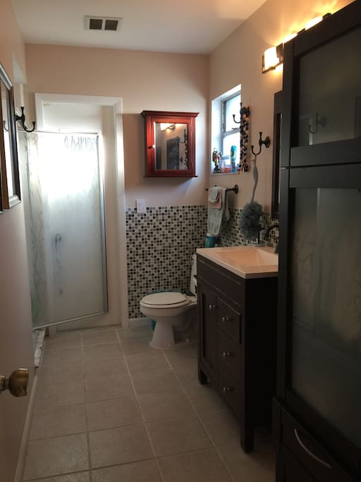 Private modern bath with shower door
