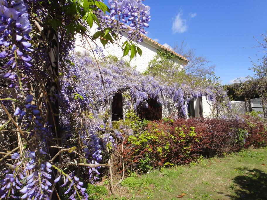 Glycine de 40 ans devant la pièce de vie et la chambre