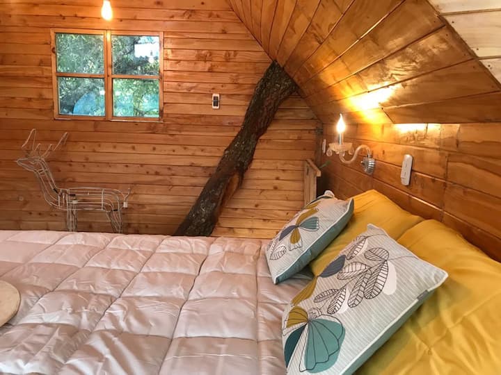 Casa En El ÁRbol - Huamachuco