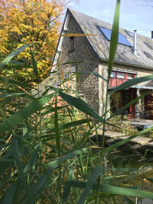 Tuin