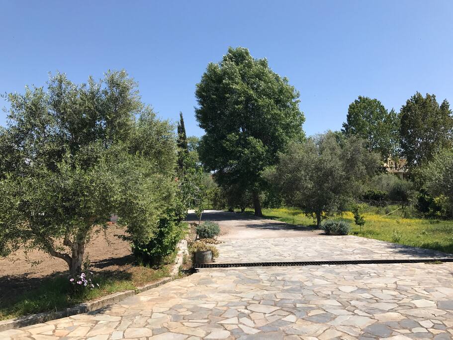 Garden path