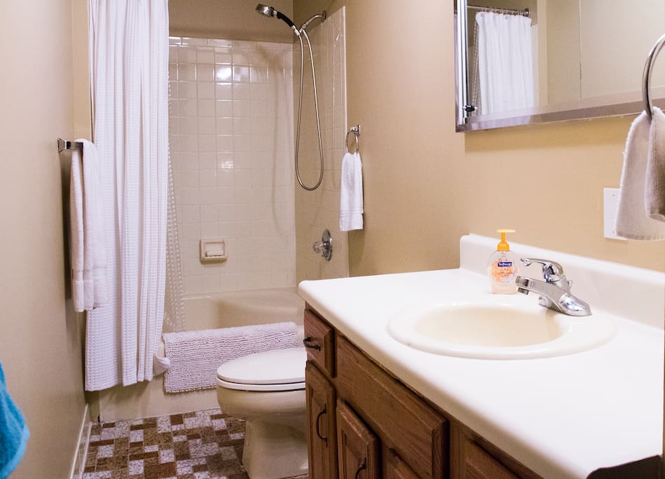 Bathroom with sit in tub and shower.