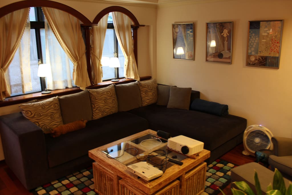 A view of the living room showing the sofa.
