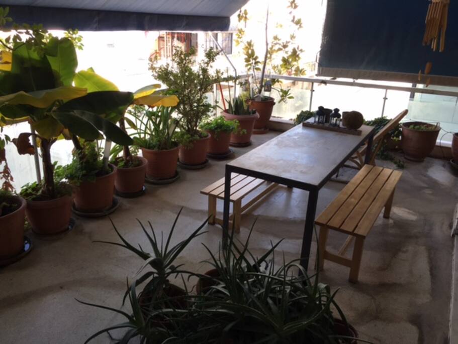 Wide balcony with plants