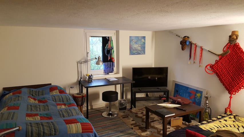 Nice Room close to Lugano Downtown