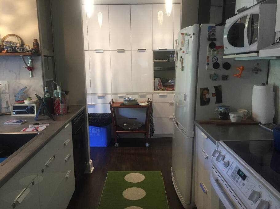 A galley kitchen. Help yourself.