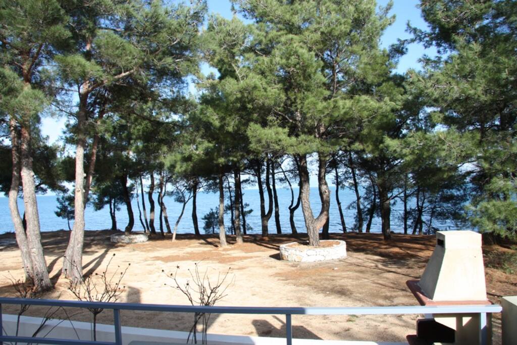 sea view