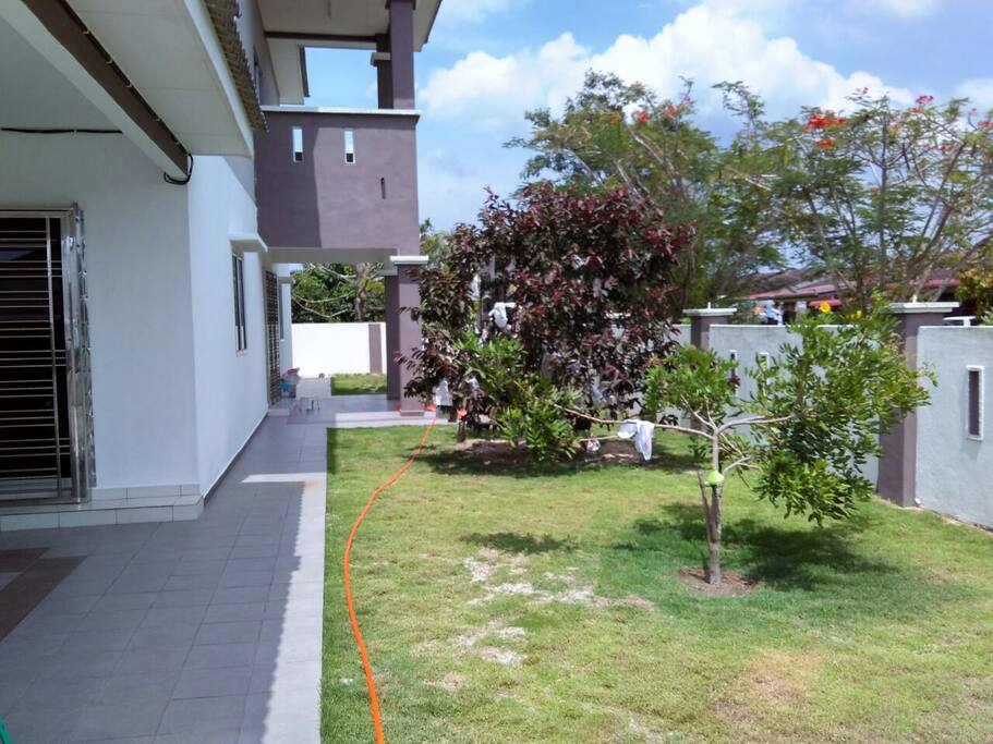Tropical fruit trees for you to enjoy in the compound.