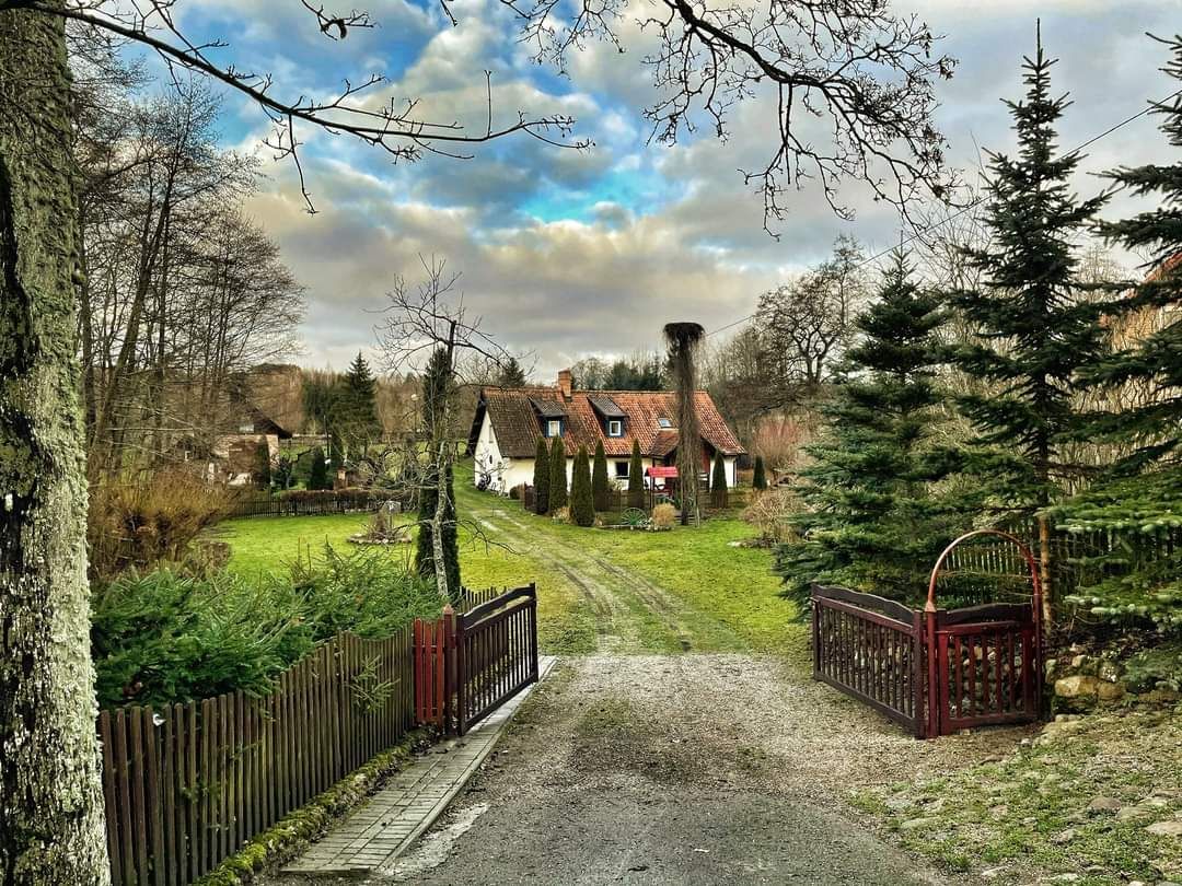 A charming pathway leads through a gated entrance toward a rustic cottage surrounded by lush greenery. The cottage features a sloped roof, and the landscape is dotted with coniferous trees and hedges, under a cloudy sky.