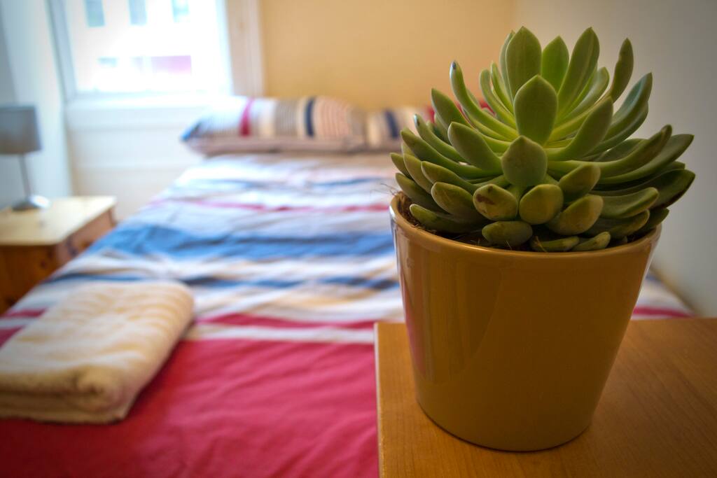 Room 5 (Your Room)