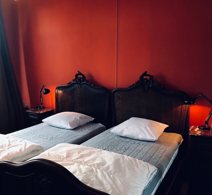 chumba halisi cha wageni kilicho na vitanda 2 vikubwa vya mtu mmoja na sinki iliyo na maji ya moto na baridi, na mwonekano wa kuvutia wa bustani na Ufaransa 