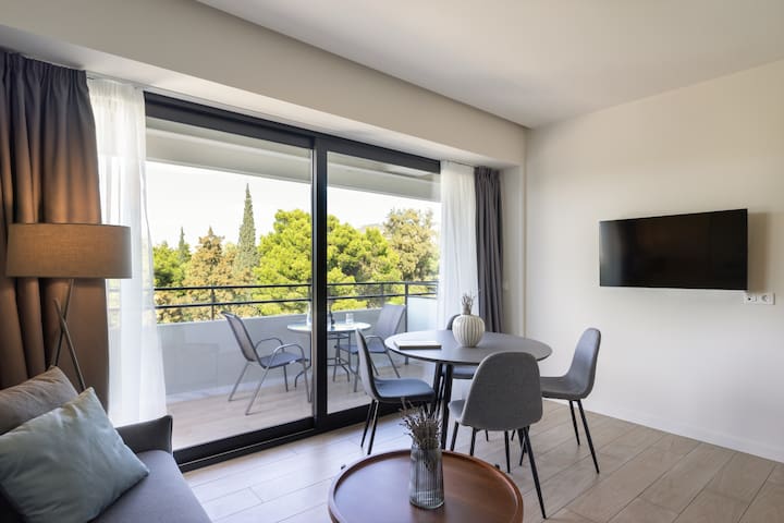 Superior 2BD apartment, balcony & Areos Park view