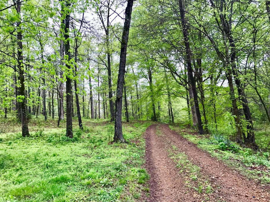A long and winding road.