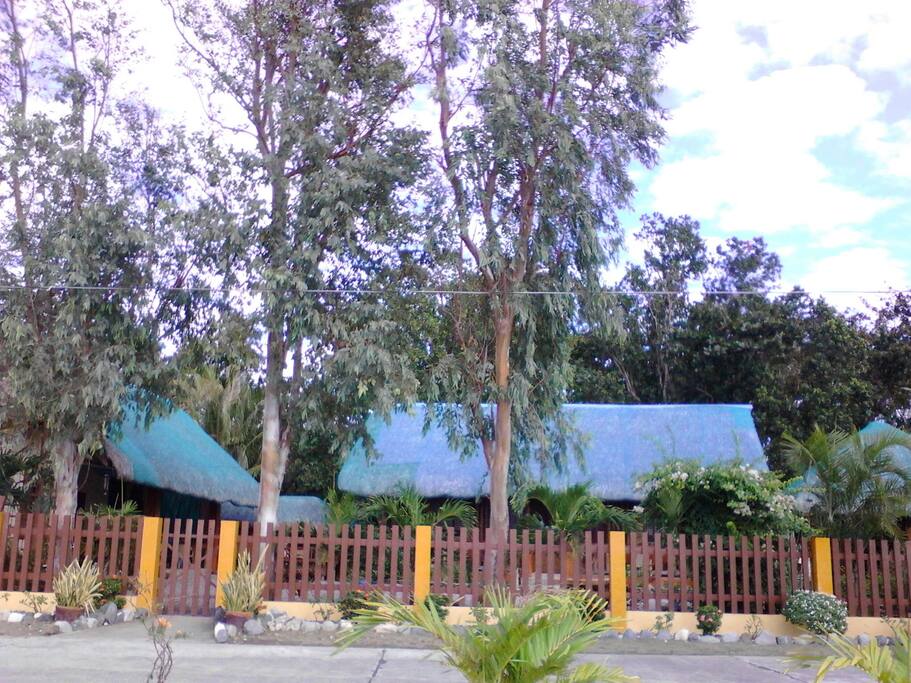 The compound as seen from the paved road